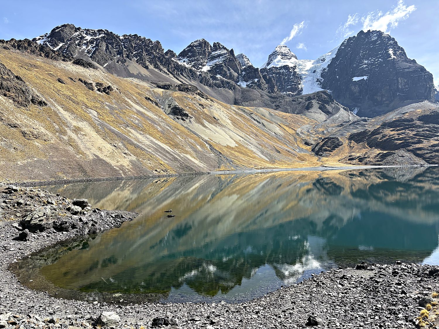 the cordillera real