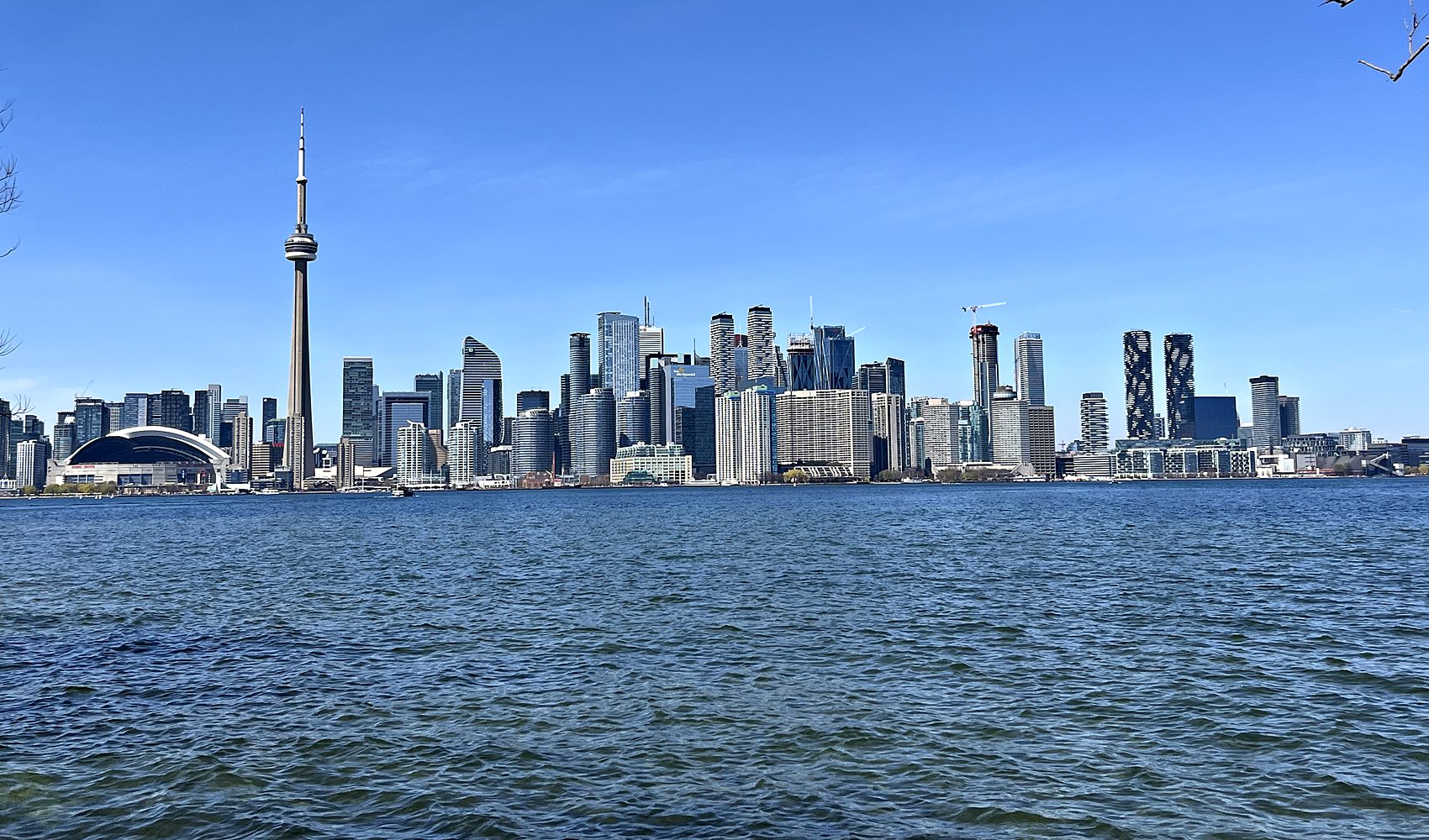 the toronto skyline across lake ontario