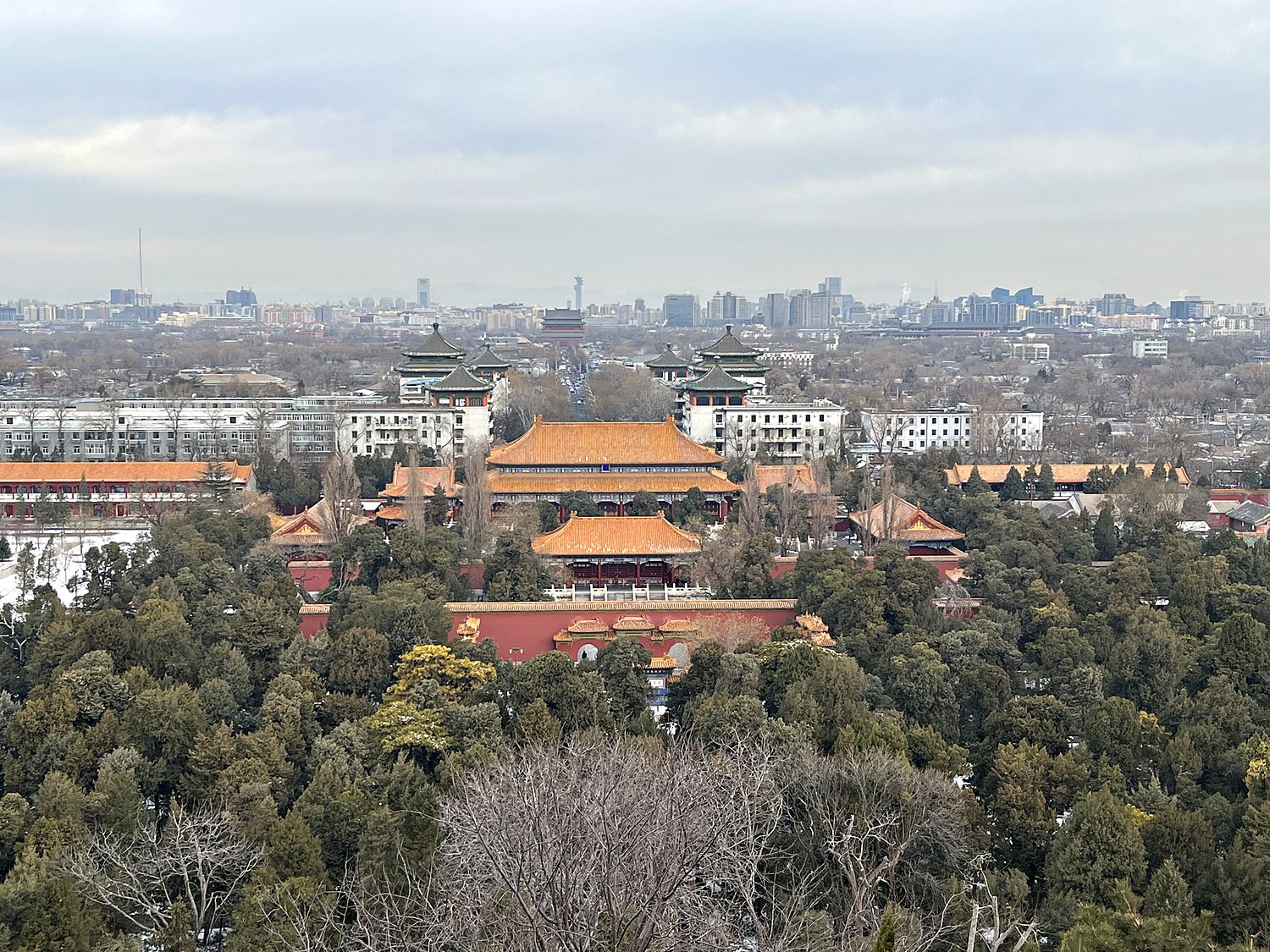the forbidden city