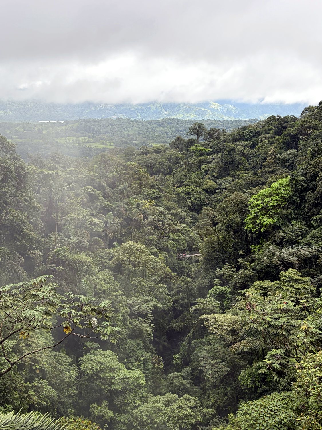 mistico hanging bridges park