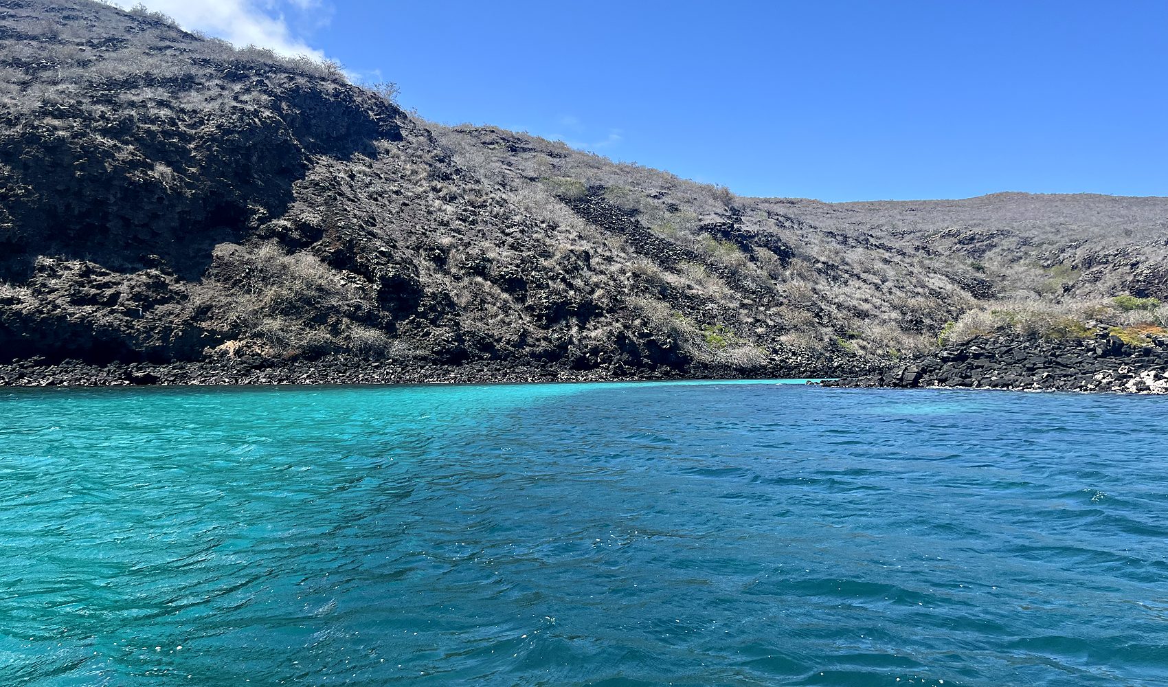 a volcanic shoreline meeting the brilliant turquoise waters of the galápagos islands
