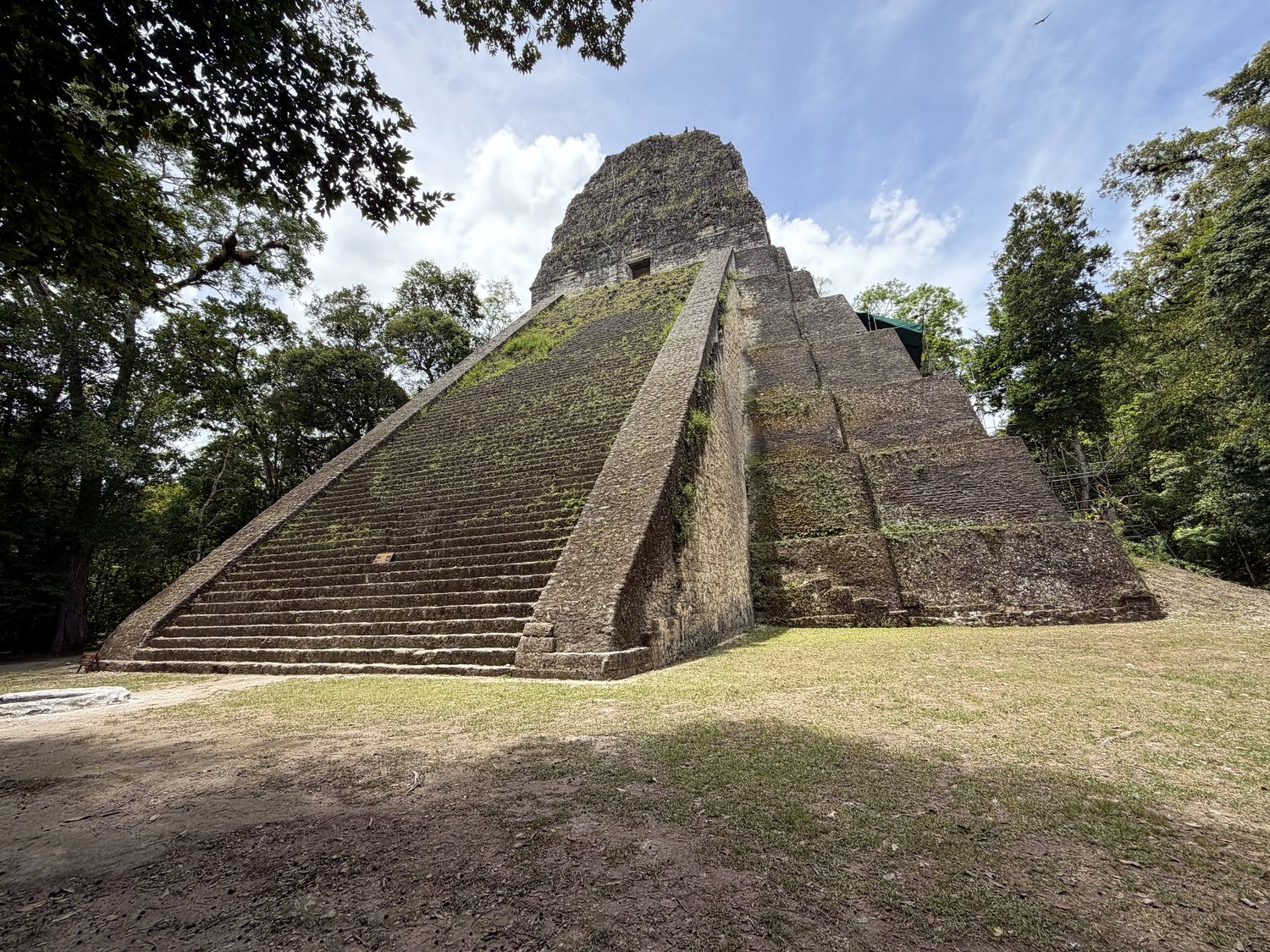 tikal