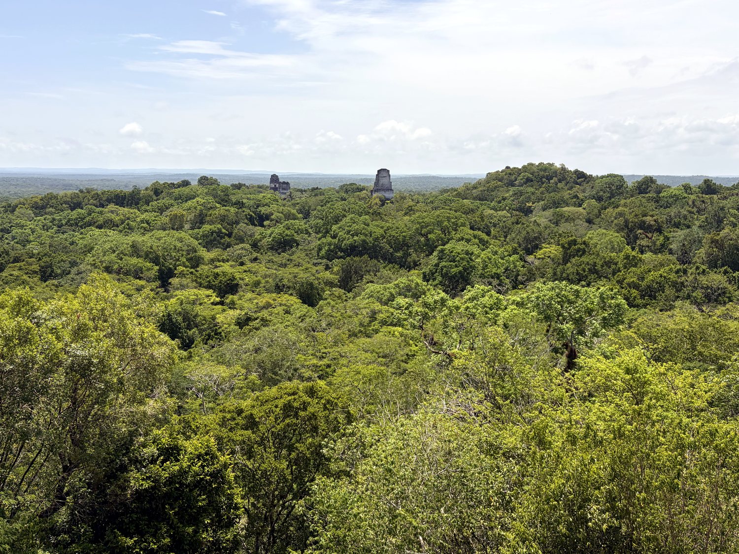 tikal