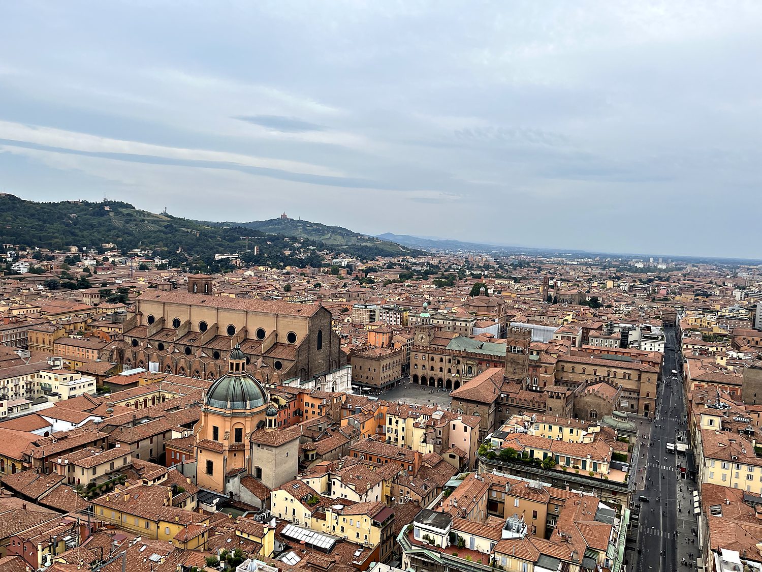 bologna