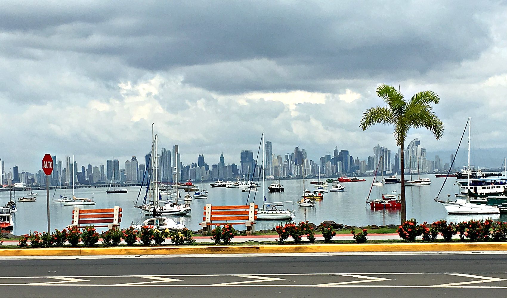 the skyline of panama city rising along the pacific coast