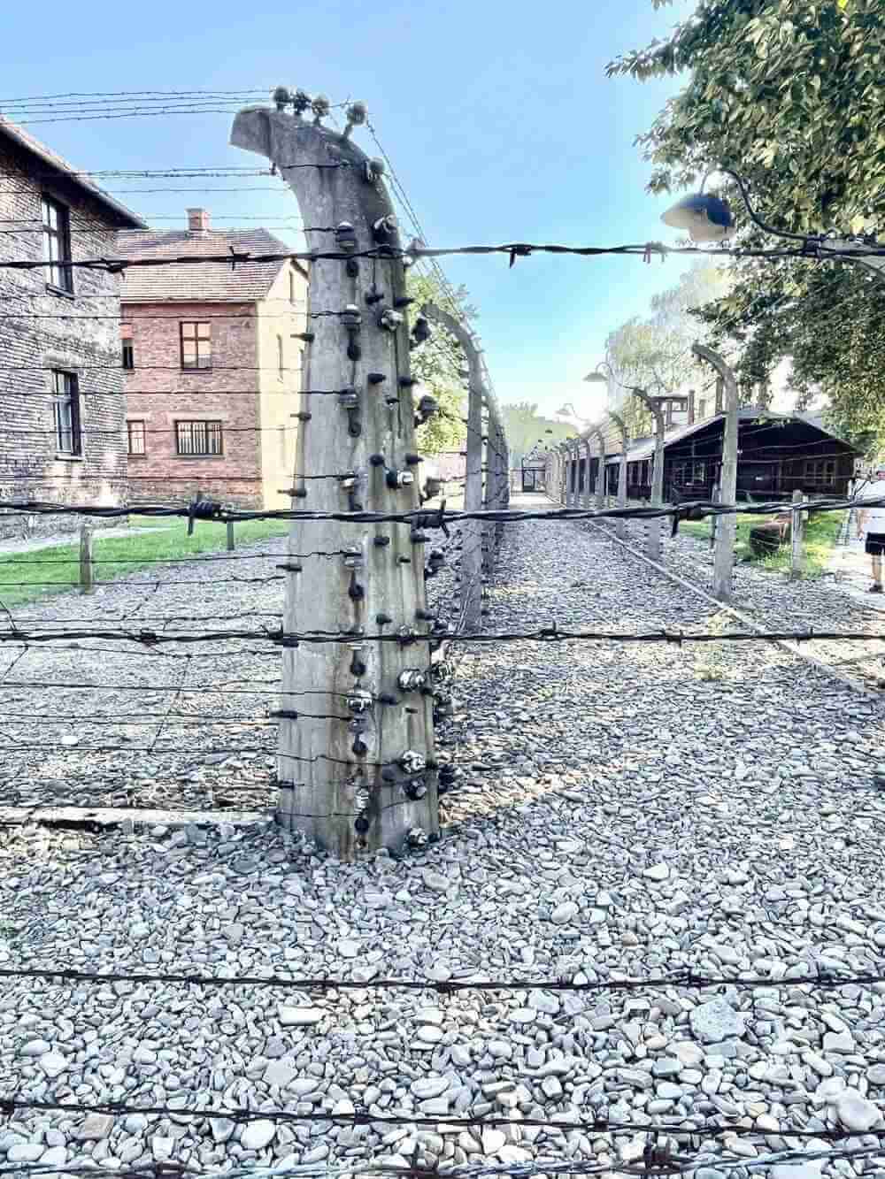barbed wire in auschwitz concentration camp