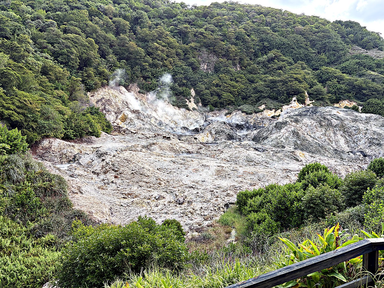sulphur springs