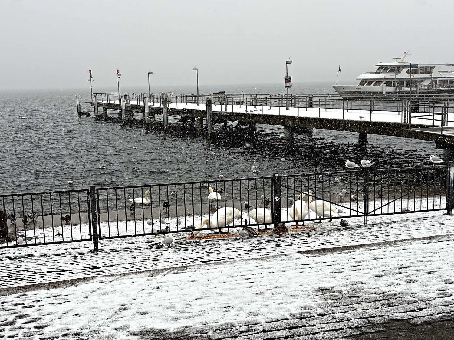 lake zurich