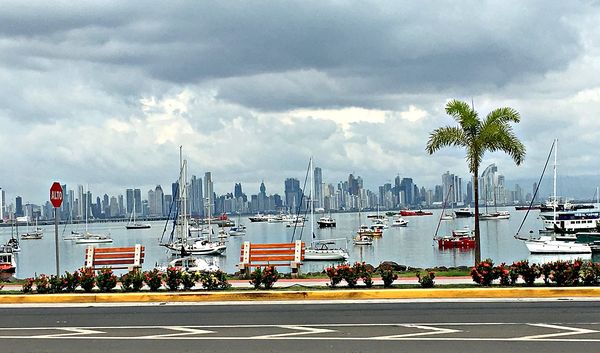 the skyline of panama city rising along the pacific coast