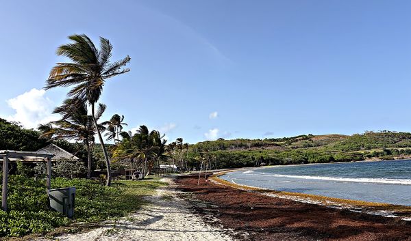 petit piton rising sheer from the sea near soufrière