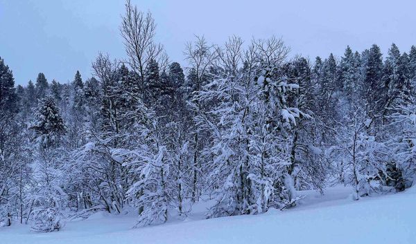 frozen river in kuttainen, sweden