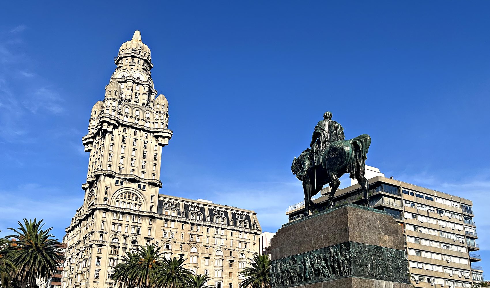 stately palm trees against the deep blue sky of a park in montevideo